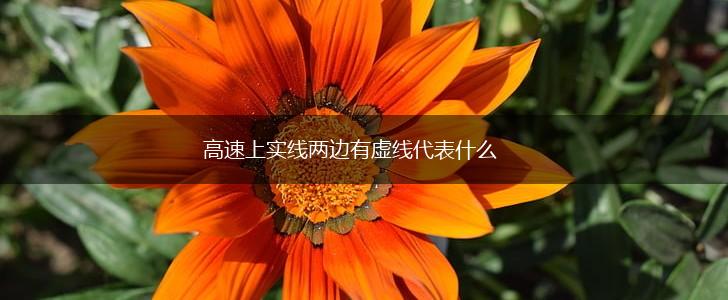 高速上实线两边有虚线代表什么,第1张