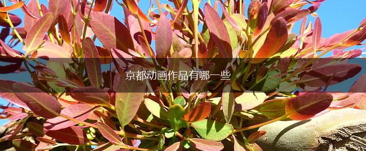 京都动画作品有哪一些,第1张