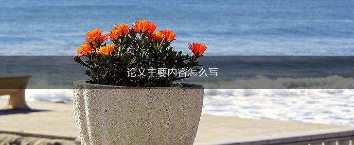 论文主要内容怎么写,第1张