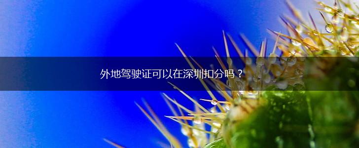 外地驾驶证可以在深圳扣分吗？,第1张