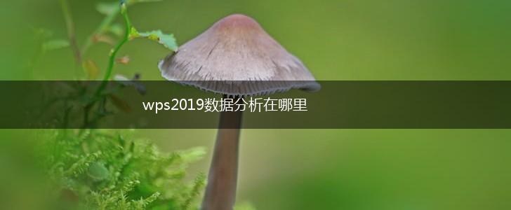 wps2019数据分析在哪里,第1张