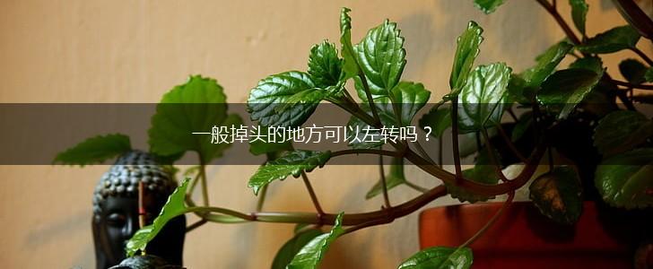 一般掉头的地方可以左转吗？,第1张