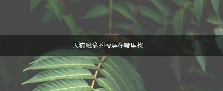 天猫魔盒的投屏在哪里找,第1张