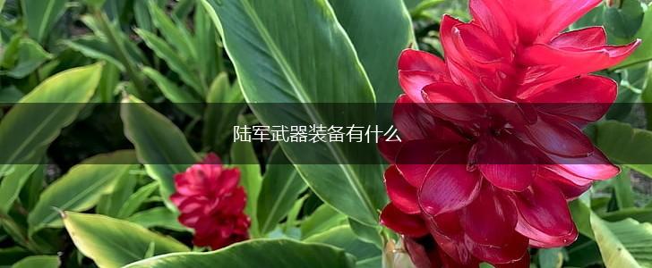 陆军武器装备有什么,第1张