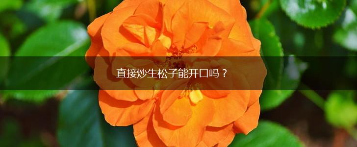 直接炒生松子能开口吗？,第1张
