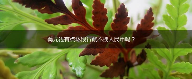 美元钱有点坏银行就不换人民币吗？,第1张