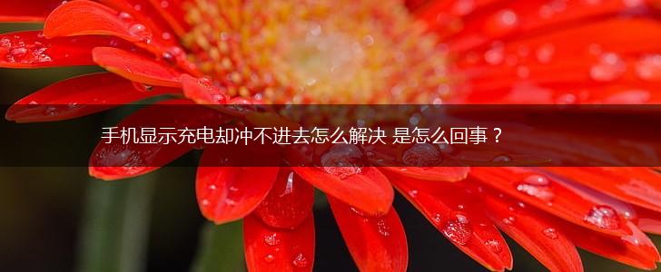 手机显示充电却冲不进去怎么解决 是怎么回事？,第1张