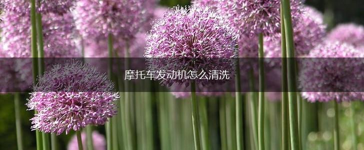 摩托车发动机怎么清洗,第1张