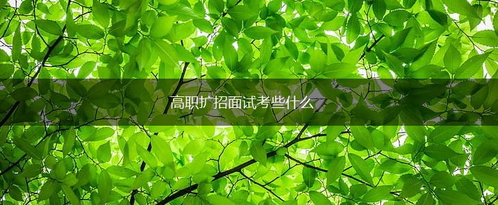 高职扩招面试考些什么,第1张