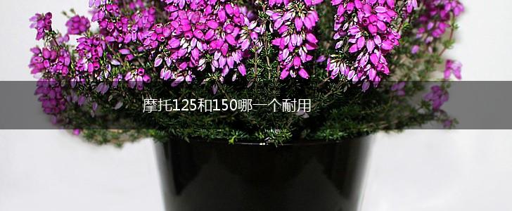 摩托125和150哪一个耐用,第1张