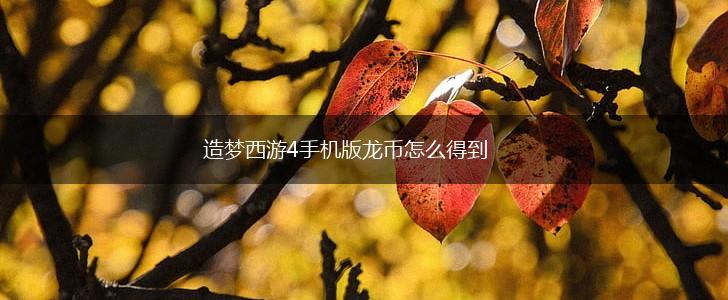 造梦西游4手机版龙币怎么得到,第1张