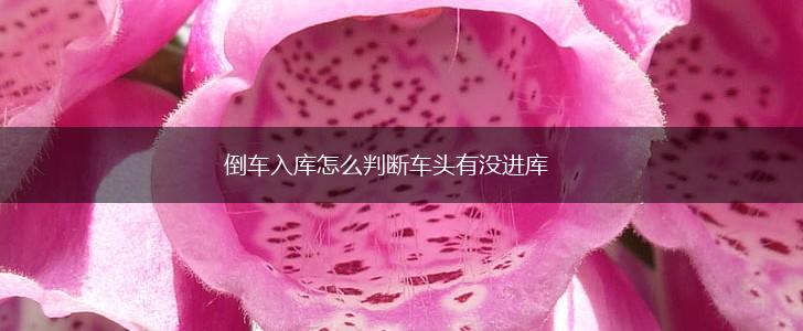 倒车入库怎么判断车头有没进库,第1张