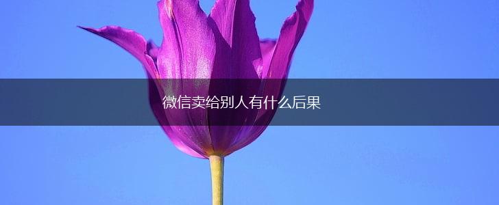微信卖给别人有什么后果,第1张
