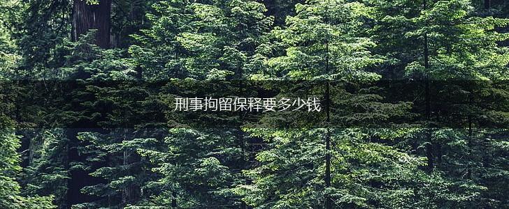 刑事拘留保释要多少钱,第1张