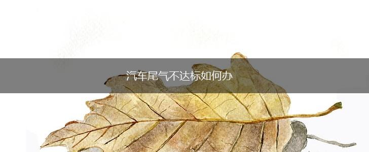 汽车尾气不达标如何办,第1张
