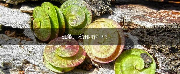 c1能开农用四轮吗？,第1张