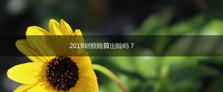2019划痕险算出险吗？,第1张