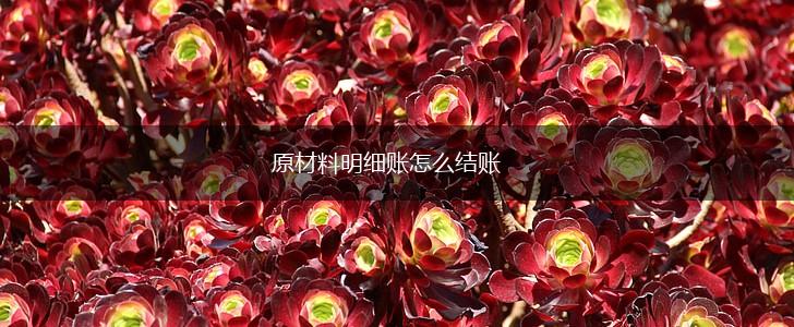 原材料明细账怎么结账,第1张