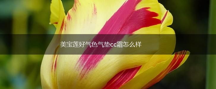 美宝莲好气色气垫cc霜怎么样,第1张