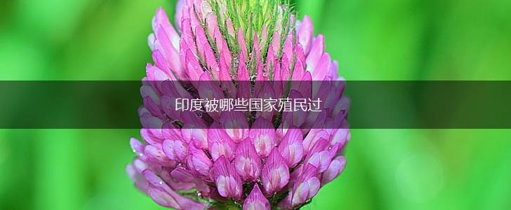 印度被哪些国家殖民过,第1张