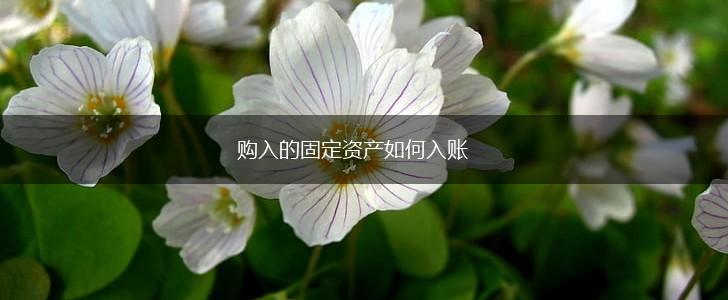购入的固定资产如何入账,第1张