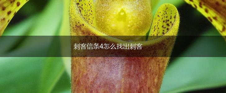刺客信条4怎么找出刺客,第1张