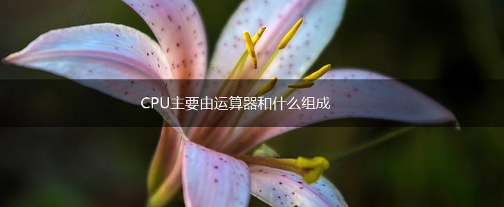 CPU主要由运算器和什么组成,第1张