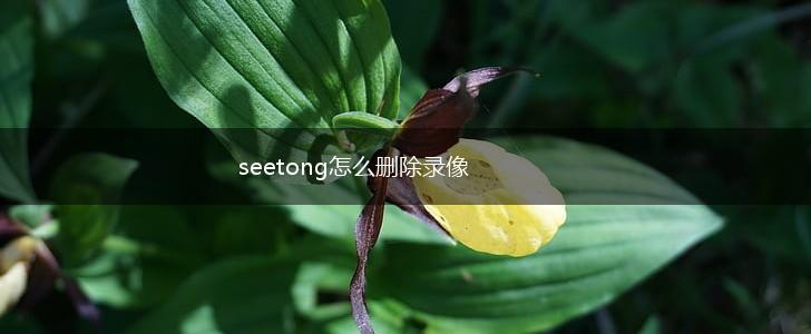seetong怎么删除录像,第1张 seetong怎么删除录像,第1张