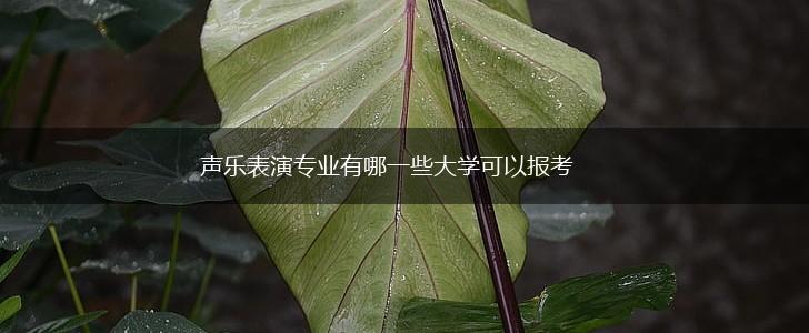 声乐表演专业有哪一些大学可以报考,第1张
