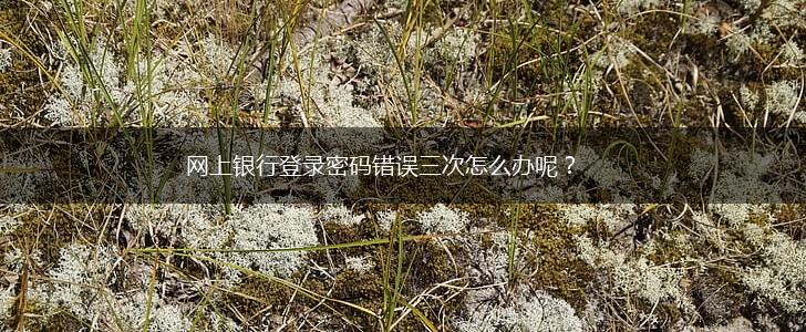 网上银行登录密码错误三次怎么办呢？,第1张