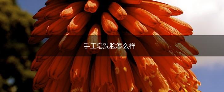 手工皂洗脸怎么样,第1张