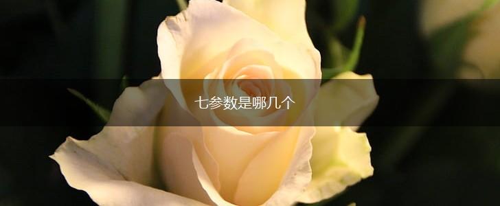 七参数是哪几个,第1张