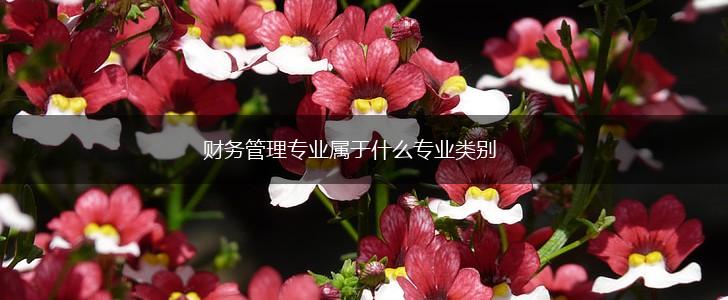 财务管理专业属于什么专业类别,第1张