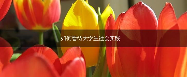 如何看待大学生社会实践,第1张
