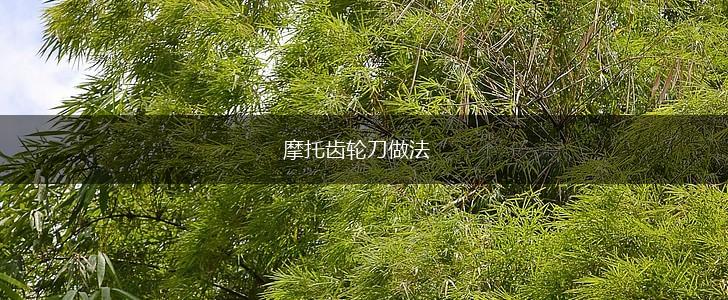 摩托齿轮刀做法,第1张