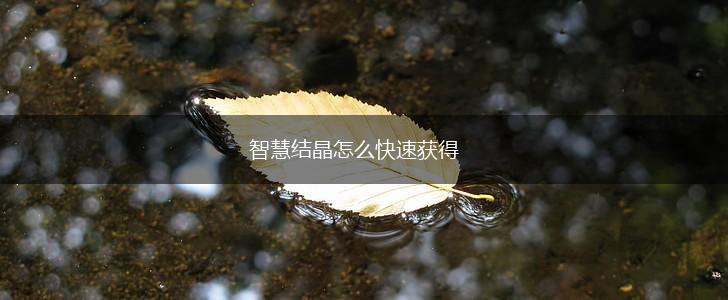 智慧结晶怎么快速获得,第1张