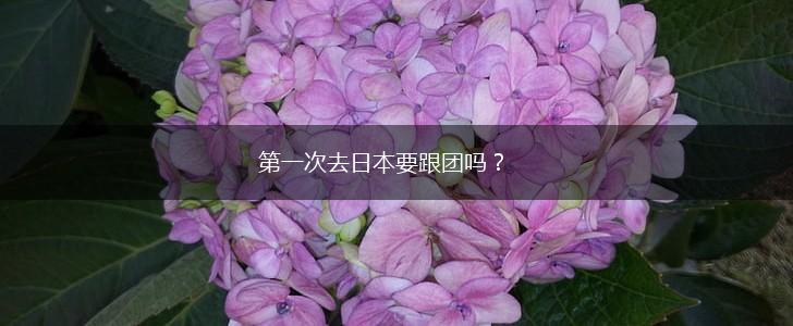 第一次去日本要跟团吗？,第1张