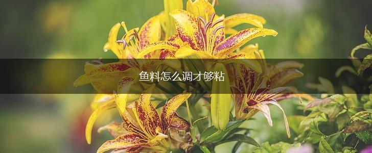 鱼料怎么调才够粘,第1张