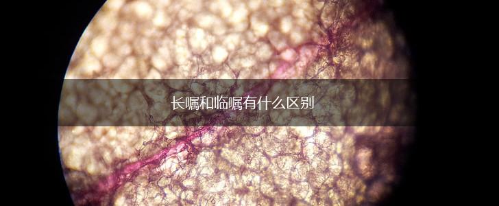 长嘱和临嘱有什么区别,第1张