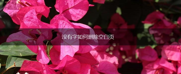 没有字如何删除空白页,第1张