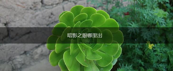 暗影之眼哪里出,第1张