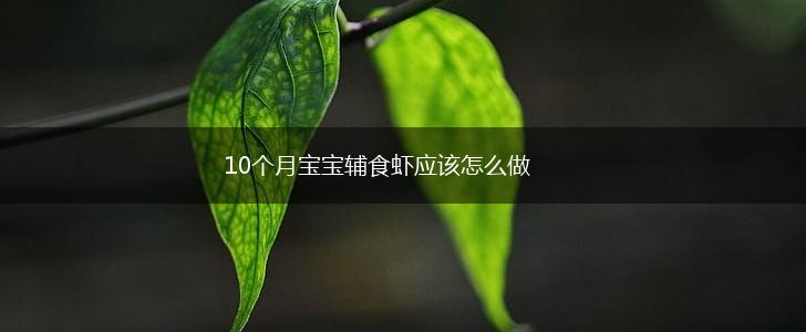 10个月宝宝辅食虾应该怎么做,第1张