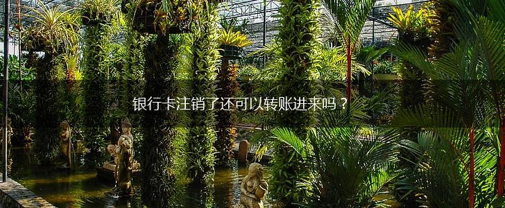 银行卡注销了还可以转账进来吗？,第1张