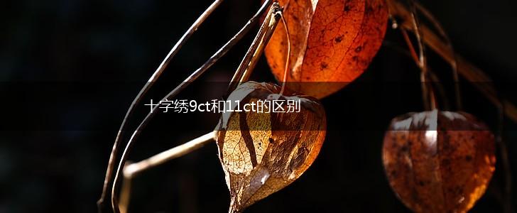 十字绣9ct和11ct的区别,第1张
