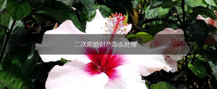二次离婚财产怎么处理,第1张