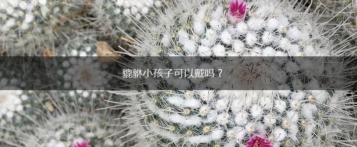 貔貅小孩子可以戴吗？,第1张