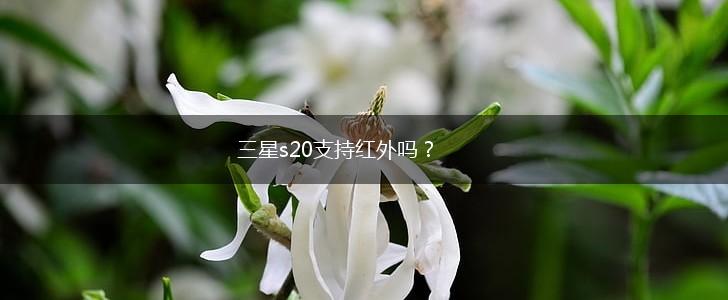 三星s20支持红外吗？,第1张