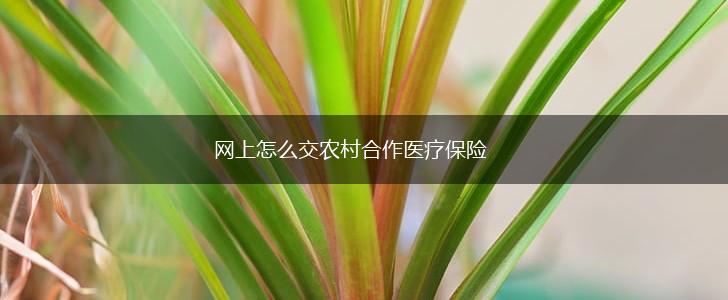 网上怎么交农村合作医疗保险,第1张