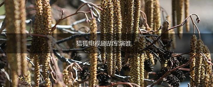 猎狐电视剧胡军演谁,第1张 猎狐电视剧胡军演谁,第1张