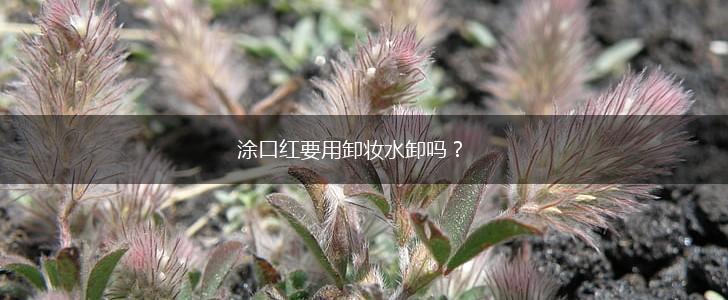 涂口红要用卸妆水卸吗？,第1张